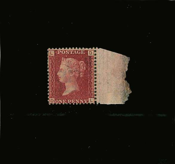 view larger image for SG 43 (1864) - 1d Lake-Red from Plate 147 lettered ''D-L''<br/>
A fine right side marginal lightly mounted mint single with exceptional centering and perforations.
<br/><b>QQP</b>