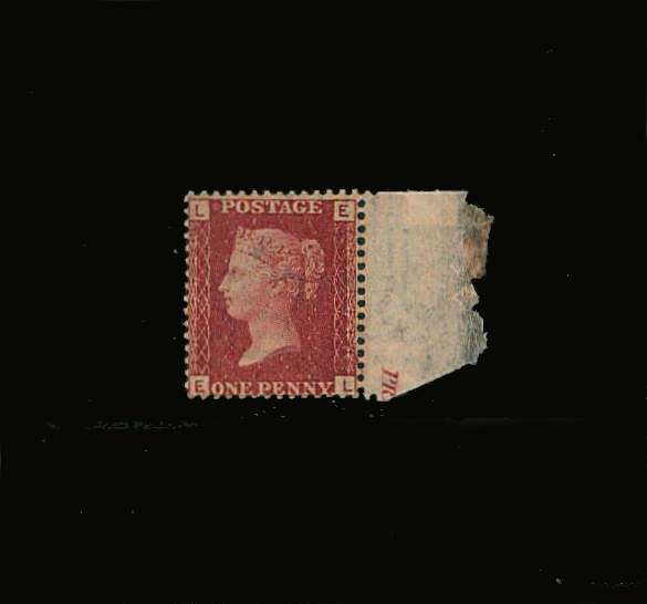view larger image for SG 43 (1864) - 1d Lake-Red from Plate 147 lettered ''E-L''<br/>
A fine right side marginal lightly mounted mint single with exceptional centering and perforations. 
<br/><b>QQP</b>