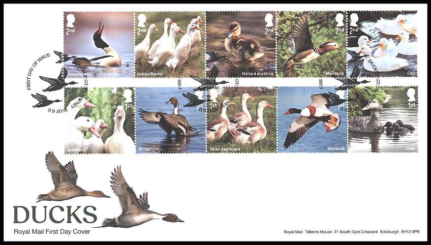 view larger back view image for Ducks set of ten on an unaddressed official Royal Mail FDC cancelled with the official alternative FDI cancel for DUCKLINGTON - WITNEY
dated 11.9.25