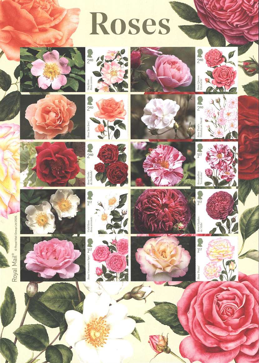 view larger image for SG LS181 (2026) - Roses